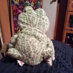 Webkinz Spotted Frog Plush Beanbag Stuffed Toy Ganz HM142 Sealed Code 8 Inch