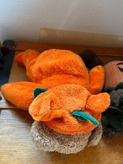Lot of Boyds Dark Brown w Orange Pumpkin Costume & Light Brown in Jack O Lantern