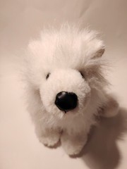 Webkinz Samoyed HM176 Ganz Retired Soft Fluffy White Dog Plush Toy NO CODE