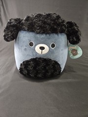 Squishmallow JETTWARD Black Poodle HARD TO FIND NWT 14″ Puppy Dog Plush Rare