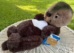 Vintage 1981 Dakin Sea World Otter Plush Stuffed Animal O.P. Otter New with Tags