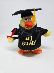 Dan Dee #1 Grad Interactive Chicken 7 1/2″ Plush Toy Cap & Gown Graduate