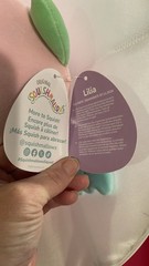 Squishmallow Easter 2025 Lilia the Sea Monster NEW 12” inch Stripey Green Pink