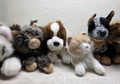 Douglas Cuddle Toys Lot Of 9