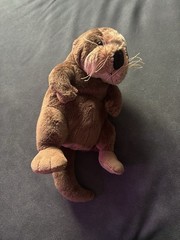 Ganz Webkinz Brown Sea Otter 8“ Plush Stuffed Animal Retired HM395 No Code – VG