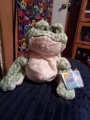Webkinz Spotted Frog Plush Beanbag Stuffed Toy Ganz HM142 Sealed Code 8 Inch