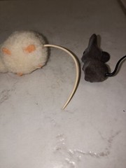 Vintage Lot Mini Steiff White Wool Pom Pom Mouse Pink Eyes & Flocked Mini Grey