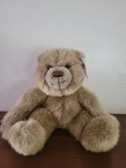 Gotta Getta GUND Bear Mocha 6409 Orig Tag 9″ Collectible Plush Stuffed Anima VTG