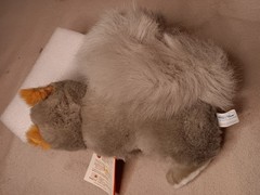 Vintage 1992 Sammy Squirrel Ranger Rick Friends Plush NWT 90s 8”