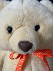 Scarborough Collection Yellow Tan Teddy Bear Plush 17 Inch JcPenney Vintage Toy
