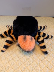 Ty Beanie Boos Charlotte The Halloween Spider Orange Black 6″ Stuffed Animal NWT