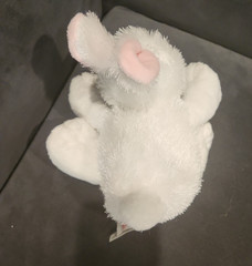 Webkinz Lil Kinz White Bunny Rabbit Plush Stuffed Animal Toy
