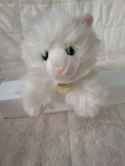 Kitty Cat Miyoni By Aurora White Turkish Angora Cat Kitten 8″ Yellow Eyes Plush