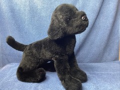 Douglas cuddle toy black lab dog plushy stuffed toy animal