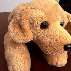 2FAO Schwarz Dog Plush Black Golden Labrador Retriever Puppy Stuffed Floppy Lay