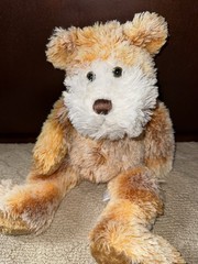 Joojoo Plush Brown Bear Brown White Tan EUC