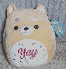 Squishmallow Angie the Shiba Inu YAY Dog 10″ Collectable Stuffed Plush A10 NWT