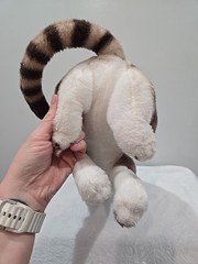 Realistic Amy The American Shorthair Cat 14 Inch Stuffed Animal Plush EUC (Y)