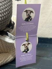 Cuddle Collab Target Ghost & Wren Dog Lover Pet Toys Family Gift Plush Set