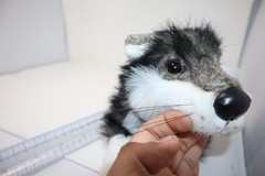 Ranger Rex Gus Talking WILLAMINA WOLF 10″ Plush Forest Friends Stuffed WORKS