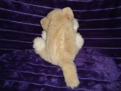 Kitty Kitty Kitten Kittens Plush Rattle Purr Cat Beige W/Pink Bow