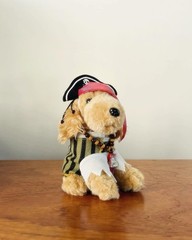 Collection DISNEY BUDDIES plush toys, costumes and carrying case