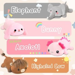 TOYSYM Weighted Stuffed Animals, Axolotl Animal with Small,