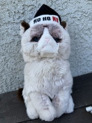 GUND Grumpy Cat Ho Ho No Plush Grumpy Cute Cat Holiday Plush Kitty