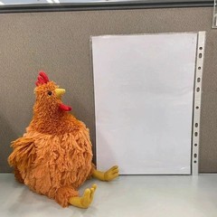 Cecil the Chicken Plush Toy – Super Soft & Cuddly Stuffed Animal