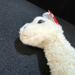 Aurora White Llama 12″ Plush Stuffed Animal Toy #31155 Tagged