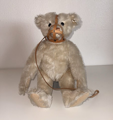 Steiff Muzzle Bear 1908 Replica 1988 Limited Edition #175/5000 Cert. w/ Growler