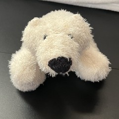 Webkinz Polar Bear Plush Stuffed Animal HM116 NO CODE Ganz