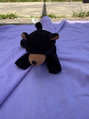 Unipak Designs 14 Inch Black Stuffed Plush Lovey Bear Near Mint