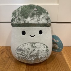 BNWT 9in Ismail The Mushroom Squishmallow Green