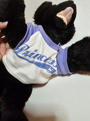 Build A Bear 15″ Black Labrador Retriever Dog Plush BABW Retired With Clothes