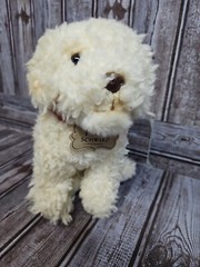 FAO Schwarz Since 1862 Plush Dog 9 Inch Tall Labradoodle White