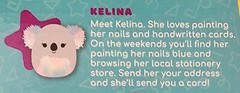 Squishmallows Boxed Set Animals Kelina Koala Bear 5″ ONLY Rainbow Fuzzy Tummy