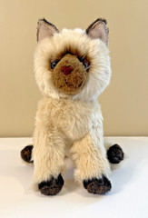 Douglas Cuddle Toy Cat Himalayan TASHA (#1824) Cream Plush Brown Tail RETIRED