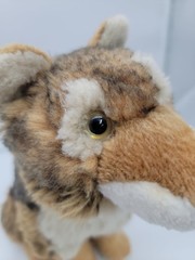 Ganz Webkinz Signature Endangered Red Wolf Plush Rare Retired No Code 11″