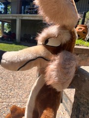 Warner Brothers 48” WILE E. COYOTE Plush Stuffed Animal