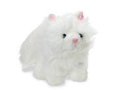 Webkinz Persian Cat