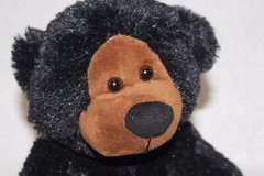 Black Bear Plush Jet Black And Brown 10” (no White Flecks)