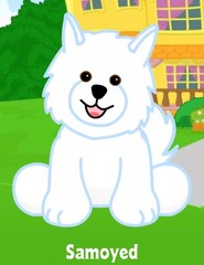 Webkinz Classic Samoyed – hm176 – Retired! – Virtual Adoption Code Only