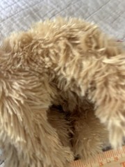 Realistic Gund Puppy Plush Designer Pups Nayla 10” Cockapoo Stuffed Animal Toy