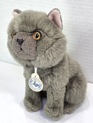 Bt Chaps Freddy the British Shorthair Cat Plush Stuffed Animal Bon Ton Toys