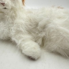 Hasbro FurReal Friends Lulu Ginger White Cat Interactive Toy