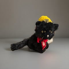 1987 Vintage Tidy Cat 3 Advertising 8 inch Black plush 99% Dust Free Animal Fair