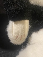 Vintage Boyds Collection JB Bean Series Black and white kitty cat 14″ green eye
