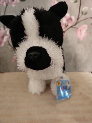Webkins Ganz Boston TERRIER HM173 NEW WITH SEALED CODE