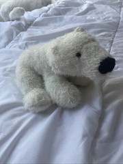 Webkinz Polar Bear HM116 No Code
